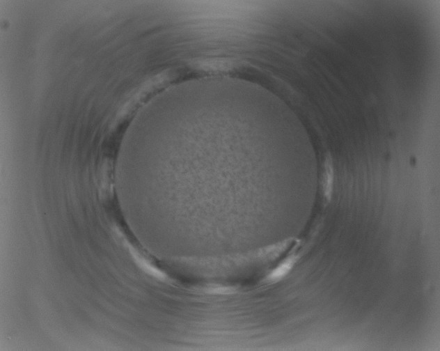 X0000052570428200507011225