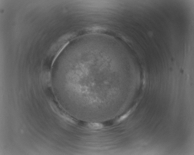 X0000052570429200507011225