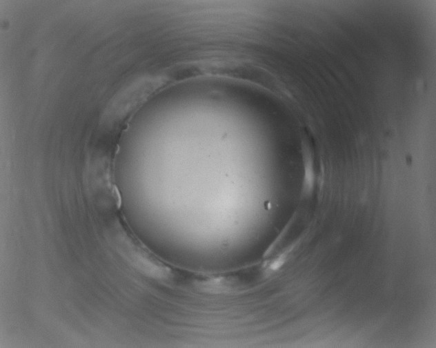 X0000052570430200507011225