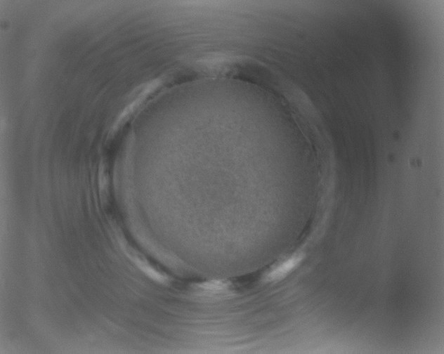 X0000052570432200507011225