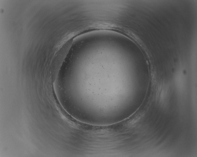 X0000052570433200507011224