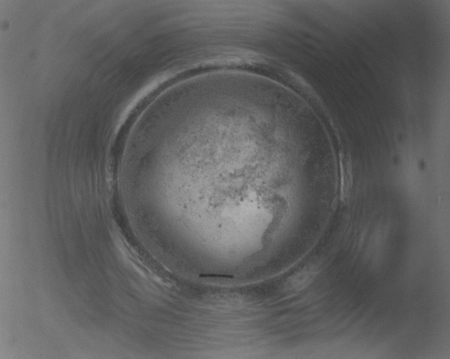 X0000052570435200507011225