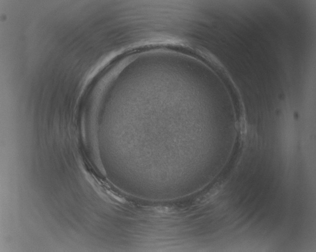 X0000052570436200507011225