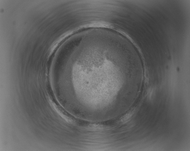 X0000052570437200507011225