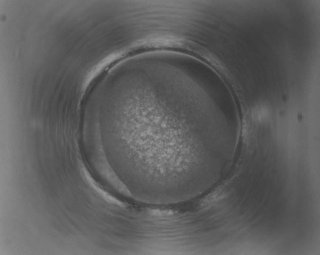 X0000052570438200507011225