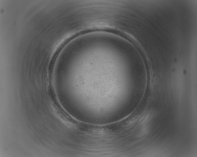 X0000052570439200507011225