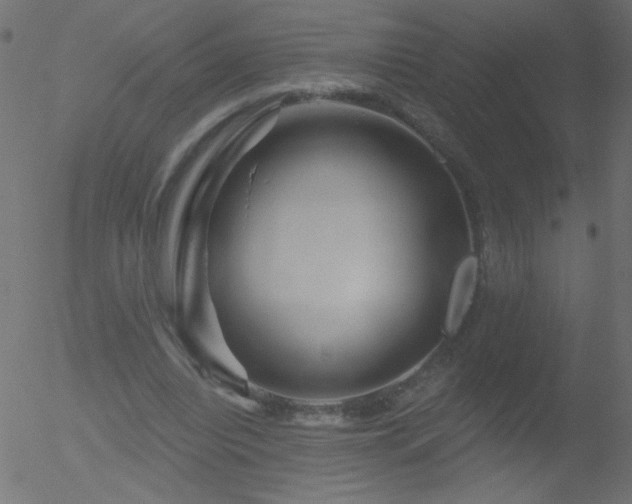 X0000052570440200507011225