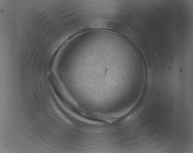 X0000052570441200507011225