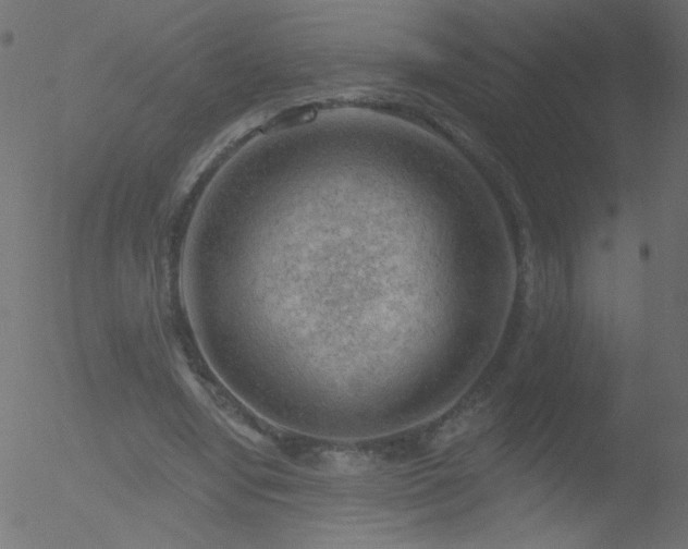 X0000052570442200507011225