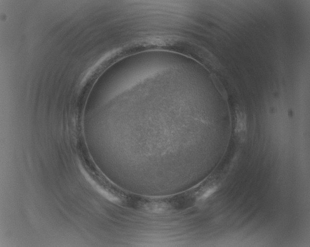 X0000052570444200507011225