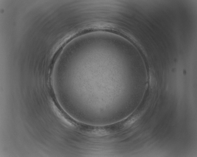 X0000052570445200507011225