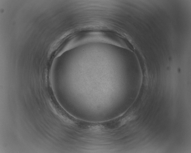 X0000052570446200507011225