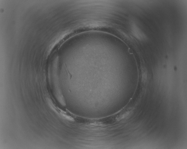 X0000052570447200507011225