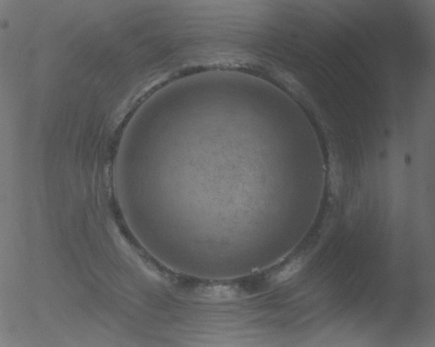 X0000052570449200507011225