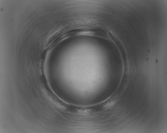 X0000052570450200507011225