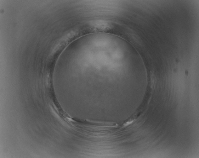 X0000052570451200507011225