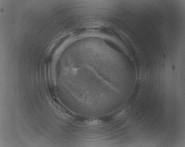 X0000052570452200507011225