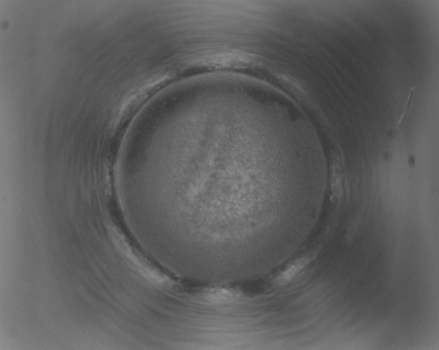 X0000052570453200507011225