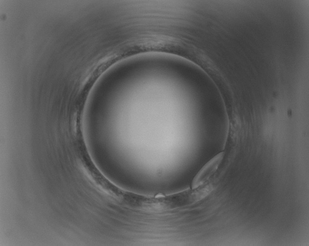 X0000052570454200507011225