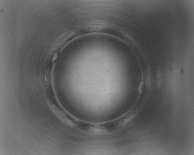 X0000052570455200507011225