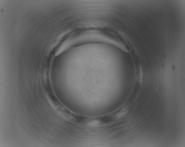 X0000052570456200507011225