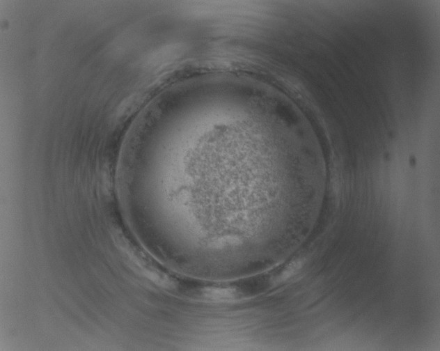 X0000052570457200507011225