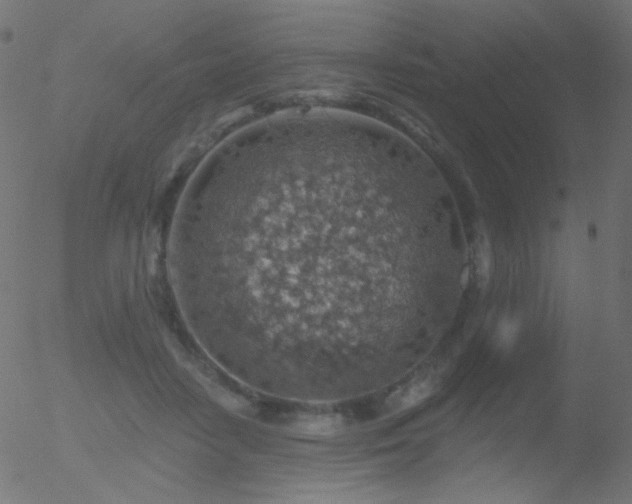 X0000052570458200507011225