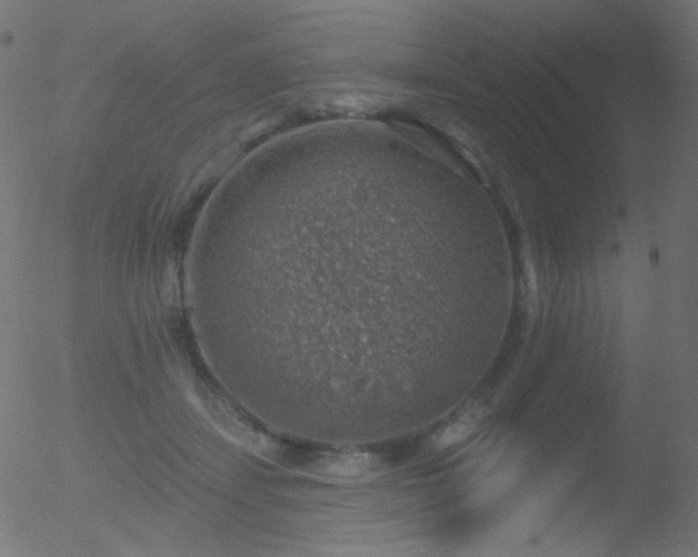 X0000052570459200507011225