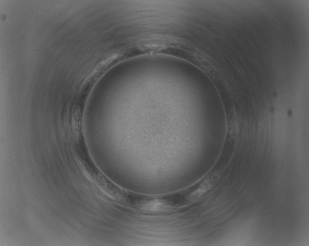 X0000052570460200507011225