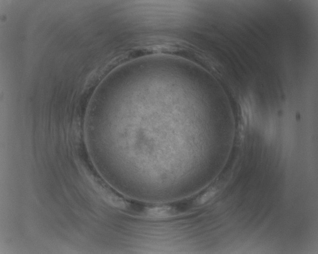 X0000052570461200507011225