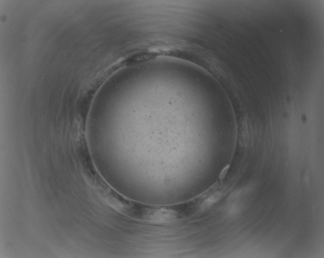 X0000052570463200507011225