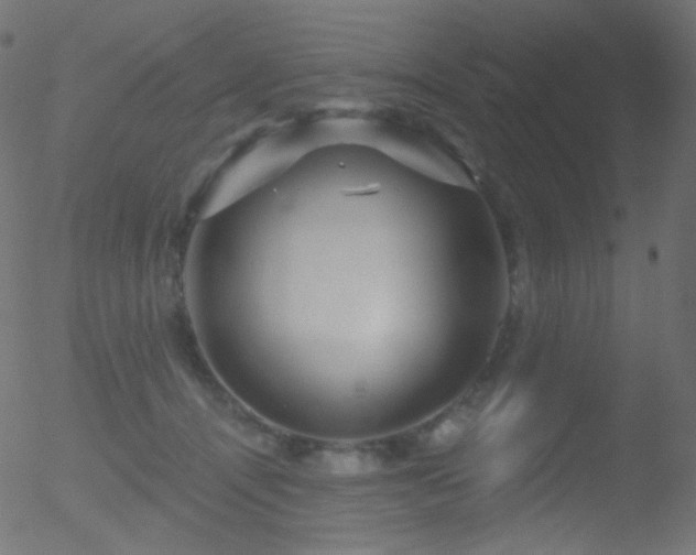 X0000052570464200507011225