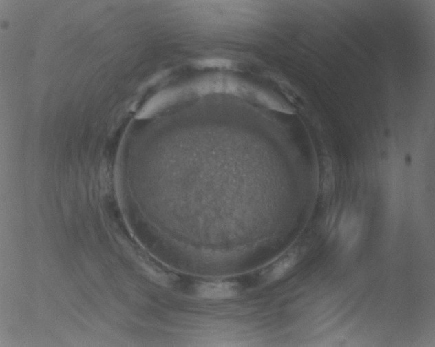 X0000052570465200507011225