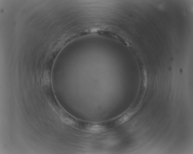 X0000052570467200507011225