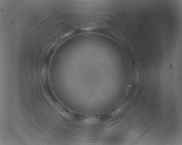 X0000052570468200507011225