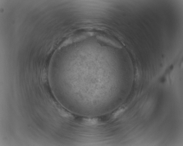 X0000052570469200507011225