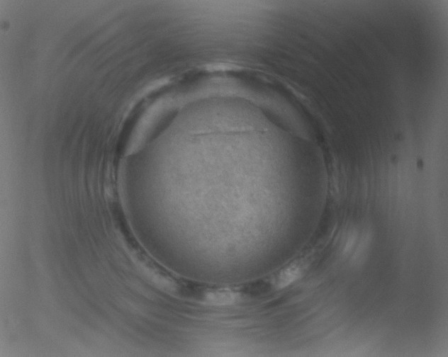 X0000052570470200507011225