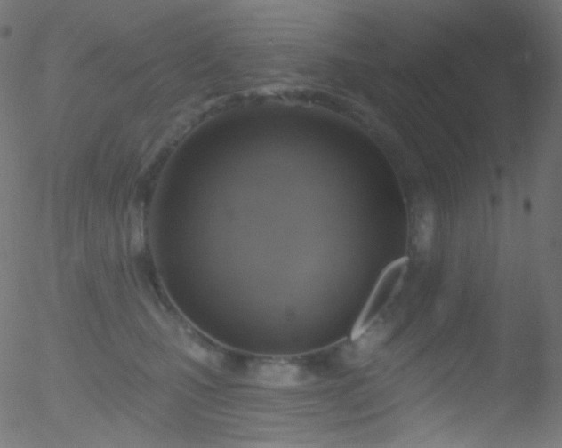 X0000052570471200507011225