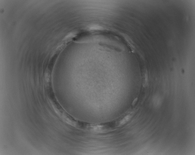 X0000052570472200507011225