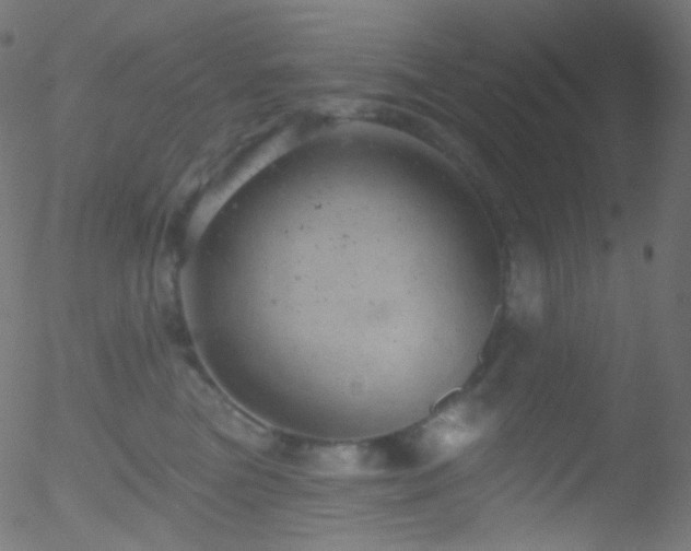 X0000052570473200507011225