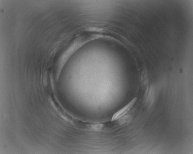 X0000052570474200507011225