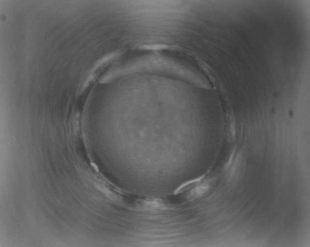 X0000052570475200507011225