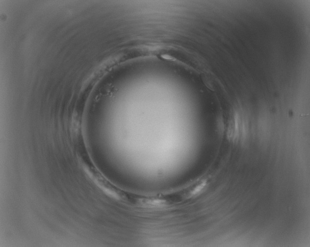 X0000052570476200507011225