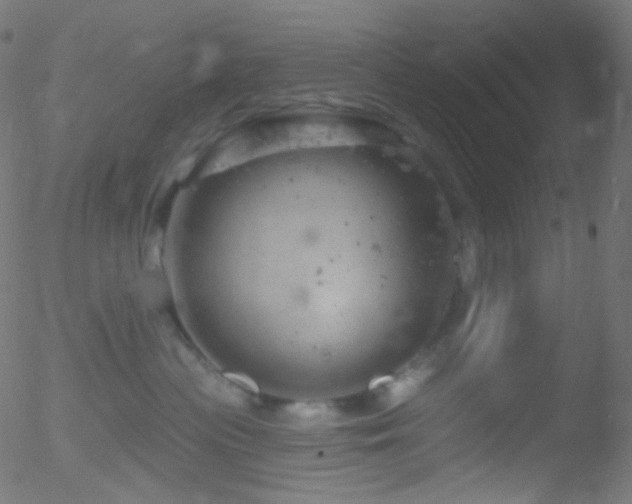 X0000052570477200507011225