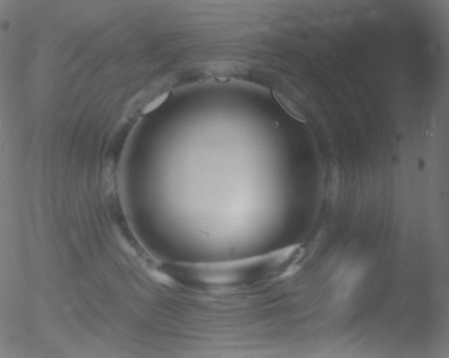 X0000052570478200507011225