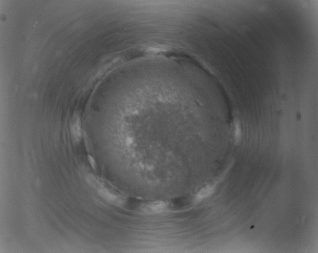 X0000052570479200507011225