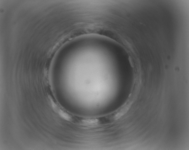 X0000052570480200507011225