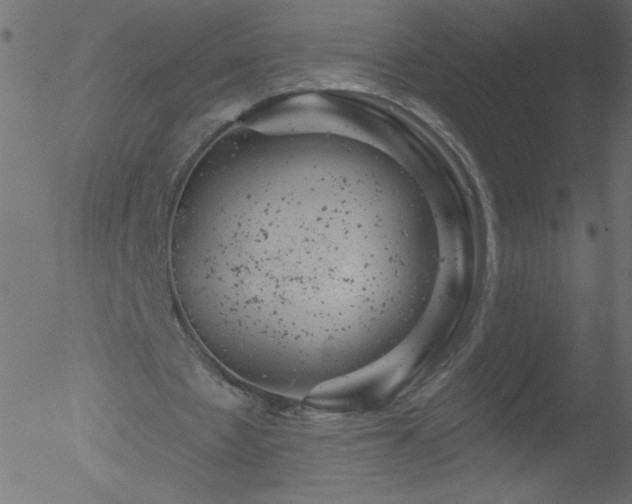 X0000052570481200507011224