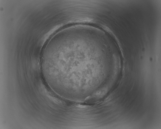 X0000052570483200507011224