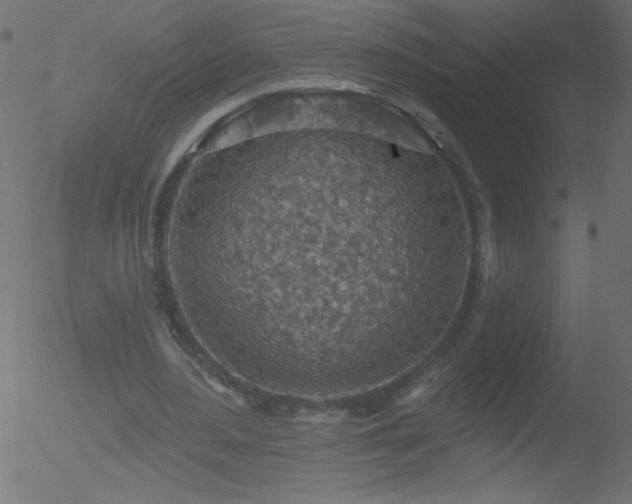 X0000052570484200507011224